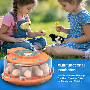 Système d'incubation d'œufs à retournement automatique, contrôle numérique de la température et de l'humidité, capacité de 15 œufs, candélabre LED, poulet, canard, caille, émeu - Product Image 3