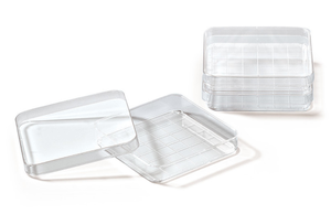 Prato de plástico descartável esterilizado, 90x15mm dois quartos petri dish 60mm 35mm 150mm - Product Image 6