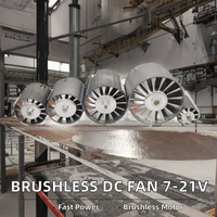 Moteur CC sans balais BL2950 29mm/32mm/40mm haute performance 7.4V/12V/16.8V/21V, ventilateur turbine haute vitesse, efficacité IE3 neutre 105000-130000