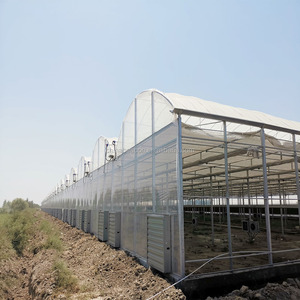 Invernadero de película inteligente de gran oferta con sistema de cultivo hidropónico de Marco en A vertical para huerto - Product Image 5
