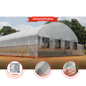 Kit de Invernadero Agrícola Grande de un Solo Vano con Estructura de Acero y Lámina de PE para Cultivo de Tomates y Flores - Product Image 1