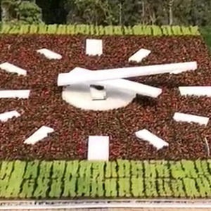 Reloj moderno de cama de flores resistente a la intemperie para paisajismo de jardín trasero - Product Image 4