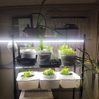Ampoules de culture professionnelles T8 4FT Grow Light Evo Tube IP65 Étanche 60cm Led Grow Double Light Bars pour la culture des graines