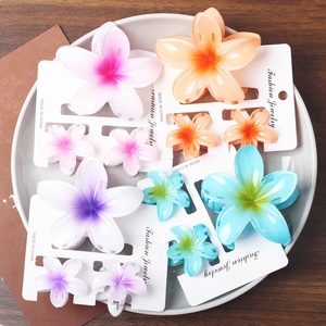 10 шт., набор зажимов для волос - Product Image 5