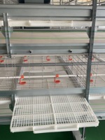 Plancher à lamelles blanc en plastique stable pour cages à poulets de chair automatiques