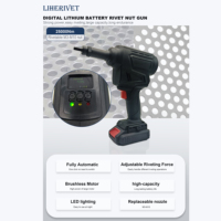 Outil de rivetage sans fil au lithium, outil de rivetage électrique sans balais, rechargeable, portable, industriel, haute force de traction, riveteuse LIHE LH-N10