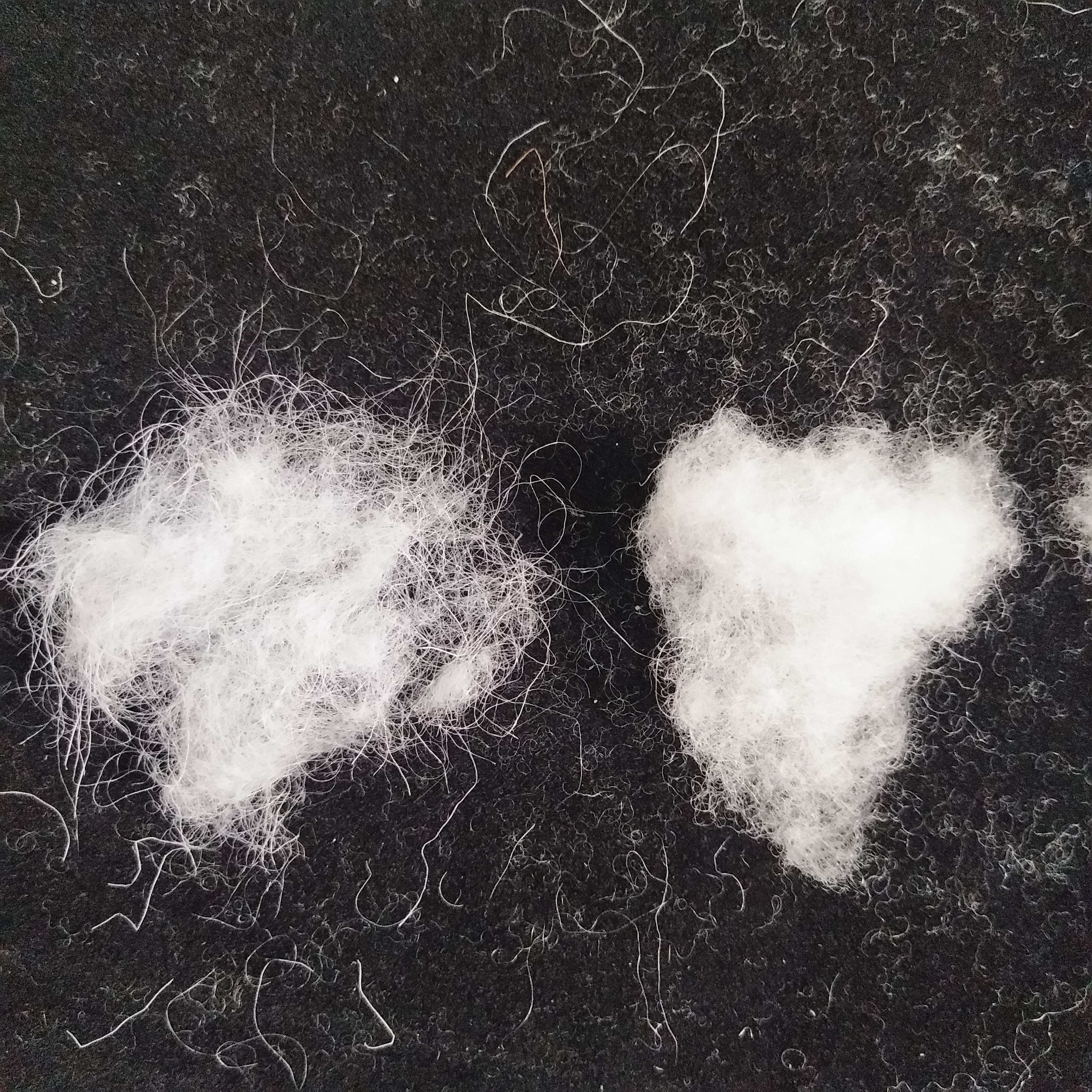 100 шерсть мериноса, оптовая продажа шерсти мериноса, оптовая продажа из Китая