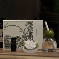Gardenia Reed Diffuseurs Fragrance air Fresh Reed Diffuseur Bouteille en verre Encens Stone Ornaments Bulk Buy