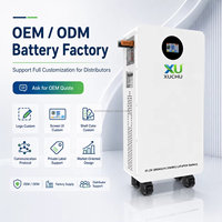 Batterie LiFePO4 murale 15 kWh 300 Ah, 6000 cycles, 51,2 V 100 Ah 200 Ah, pour stockage d'énergie solaire domestique hybride et appareils électroménagers