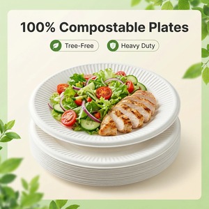 Platos Desechables Resistentes y Ecológicos de Caña de Azúcar, Compostables, con Aislamiento Térmico - Product Image 3