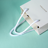 Sacs Cadeaux en Papier Kraft Blanc Réutilisables, Personnalisés, de Luxe, pour Emballage de Noël, Vente en Gros