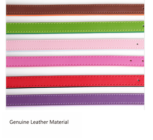 <span class=keywords><strong>Collar</strong></span> de Cuero Pu de <span class=keywords><strong>Color</strong></span> Puro con Hebilla de Hardware de Alta Calidad para Mascotas, Accesorios Modernos - Product Image 4