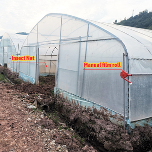 Invernadero de Túnel de Plástico Agrícola y Comercial de 8x30 Metros <span class=keywords><strong>para</strong></span> Cultivo de Vegetales, Tomates, Rosas y Lechugas - Product Image 2
