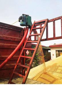 LIANGZO OEM ODM Yüksek Kaliteli Kauçuk Pnömatik Konveyör Pirinç Kabuğu Taşıma Yağa Dayanıklı Ayarlanabilir Hız Restoran Kullanımı - Product Image 4