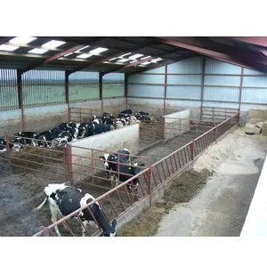 定制预制钢结构奶牛棚场