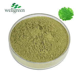Improve Health Lose Weight Bulk Extract Organic Certified Moringa Powder TLC Food Grade Leaf Green Fine Powder 2 Years Wellgreen