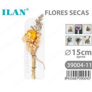 Fleurs séchées ILAN, bouquet décoratif d'environ 15 cm - Product Image 3