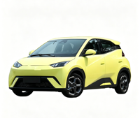 Pièces de rechange pour BYD Seagull : Porte, Capot, Aile, Hayon