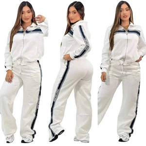 Completo Due Pezzi Casual da <span class=keywords><strong>Donna</strong></span> in Acciaio Pressato, Antipilling, Nuovo Stile Europeo e Americano, Tendenza Cross-Border, Completo con Pantaloni a Gamba Larga - Product Image 3