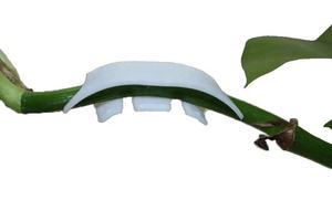 200 pièces tomates jardinage pinces <span class=keywords><strong>de</strong></span> retenue tomates cerises tomate tige Support Clip oreille Clip demi-cercle renforçant nouveau matériel - Product Image 3