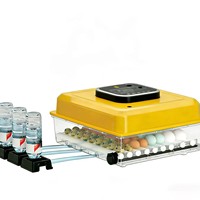 [Nueva Llegada] Incubadora de Huevos China, Máquina Compacta para Incubar Huevos de Uso Doméstico, Sin Control de Humedad, para Pollos, Patos y Gansos