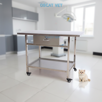 Équipement vétérinaire OSCAT ET-26, équipement médical vétérinaire, table de traitement vétérinaire en acier inoxydable 304 avec tiroir de rangement