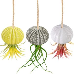 Support de plante suspendu en céramique pour plantes aériennes, design de dessin animé, pot de fleurs pour jardin d'intérieur, support suspendu parfait pour les plantes aériennes - Product Image 4