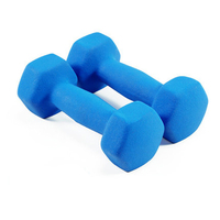 Haltères de yoga et de pilates miniatures, légers, pour la maison, unisexes, pour l'exercice et la remise en forme
