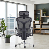 Chaise de bureau exécutive ergonomique moderne en maille, certifiée avec vérin à gaz de classe 4, support lombaire réglable et base pivotante ouverte