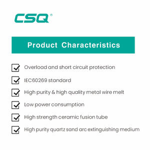CSQ Nt2 Lv 315A ตัดออก <span class=keywords><strong>Nh</strong></span> Hrc เซรามิก Rt16-00 30A <span class=keywords><strong>Nh2</strong></span> 20A ทองแดง T3ลิงค์ฟิวส์63A 80A 15A - Product Image 5