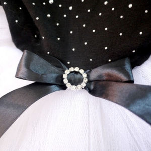 Robe de princesse élégante pour chien avec bordure en dentelle, jupe en tulle entièrement ornée de strass pour événements festifs de petits chiens - Product Image 5