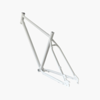 Pièces de vélo électrique populaires TRB, cadre Dengfu haute performance, moteur sans balais en chrome-molybdène fait à la main, modèle noir/blanc