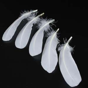 <span class=keywords><strong>Di</strong></span> alta qualità a buon mercato naturale 5.9-<span class=keywords><strong>Piume</strong></span> d'oca da 7.8 pollici alla rinfusa bianco decoro <span class=keywords><strong>piume</strong></span> per badminton volano angelo ala materiale - Product Image 5