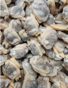 Buen <span class=keywords><strong>Precio</strong></span> de alta calidad 500/700/1000 PCS/<span class=keywords><strong>KG</strong></span> 1000/1500 PCS/<span class=keywords><strong>KG</strong></span> carne de almeja de cuello corto hervida congelada - Product Image 2