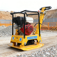 Compacteur à plaques vibrant FPB-S30G à moteur essence, vente chaude