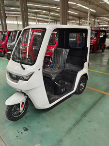 Tricycle électrique convertible à trois roues Scooter Tricycle électrique de cabine de voiture de mobilité avec toit - Product Image 2