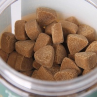 Probiotiques Softchew pour chiens et chats Suppléments de santé intestinale digestive à saveur de poulet pour chiens et chats Soins de santé