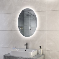 Miroir de douche à led ovale anti-buée moderne d'usine Miroir intelligent mural avec capteur tactile pour chambre à coucher