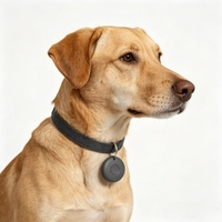 Traceur intelligent Bluetooth anti-perte pour animaux de compagnie, localisateur de clés pour chats et chiens, alarme bidirectionnelle, kit de vente en gros, boîte couleur, porte-clés