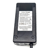 Chargeur de batterie LiFePO4 14,6 V 10 A pour batteries au phosphate de fer et de lithium 12 V, charge rapide intelligente, haute efficacité, indicateur LED