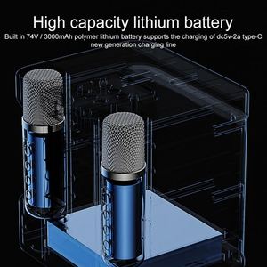 Améliorez les réunions de famille YS-203 une machine à karaoké sans fil: micro chantant et haut-parleur karaoké pour une fête inoubliable - Product Image 5