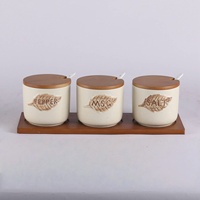 Service OEM & ODM Ensemble d'épices de cuisine en céramique 3 pièces avec couvercle en bois et cuillère
