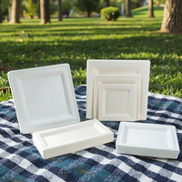 Assiettes carrées en bagasse jetables, de qualité supérieure, de plusieurs tailles, nouveau style, vente en gros d'usine pour restaurants, hôtels et fêtes