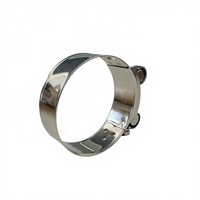 Collier de serrage réglable à ressort pour tuyau, en acier inoxydable 304 et acier galvanisé, robuste, pour pièces automobiles, à boulon unique ou boulon en T