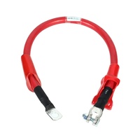Inyector de Combustible Electrónico Automotriz, Conector de Cableado, Conjunto de Cable de Arnés de Cables, Fabricante Personalizado, en Stock