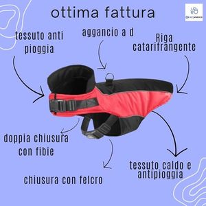 เสื้อกันฝนสำหรับสุนัขแบบกันน้ำ สะท้อนแสง ระบายอากาศได้ดี มีหลายขนาด ตั้งแต่ XS ถึง SC ลายเรียบ รุ่น ECOMMERCE 0U-01D5-G2X7 - Product Image 2