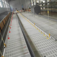 Nouvelle garantie de 1 an équipement agricole d'élevage de poulets de chair chaîne d'alimentation automatique de poulet de chair avec système d'alimentation à chaîne motorisée