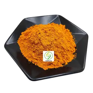 Factory supply Curcuma Longa Turmeric Root Extract Powder Organic Turmeric Powder Curcumin Powder Curcumin