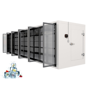 Chambre froide mobile de 30 tonnes pour la maturation des bananes et l'élevage de volailles au <span class=keywords><strong>Japon</strong></span> - Product Image 1