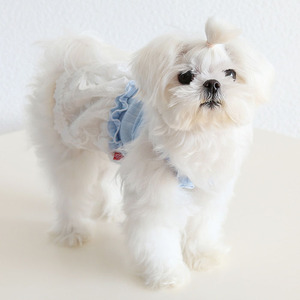 2025 Latest <strong>Graceful</strong> Spring Summer Dog <strong>Pet</strong> Lace Dress - Product Image 5